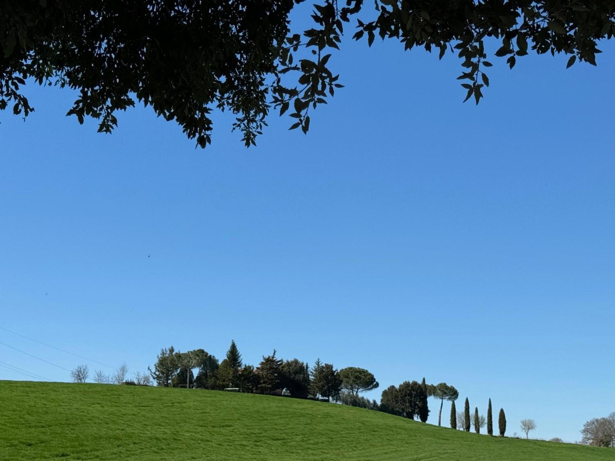 Orvieto Country House Castiglione In Teverina Exterior foto
