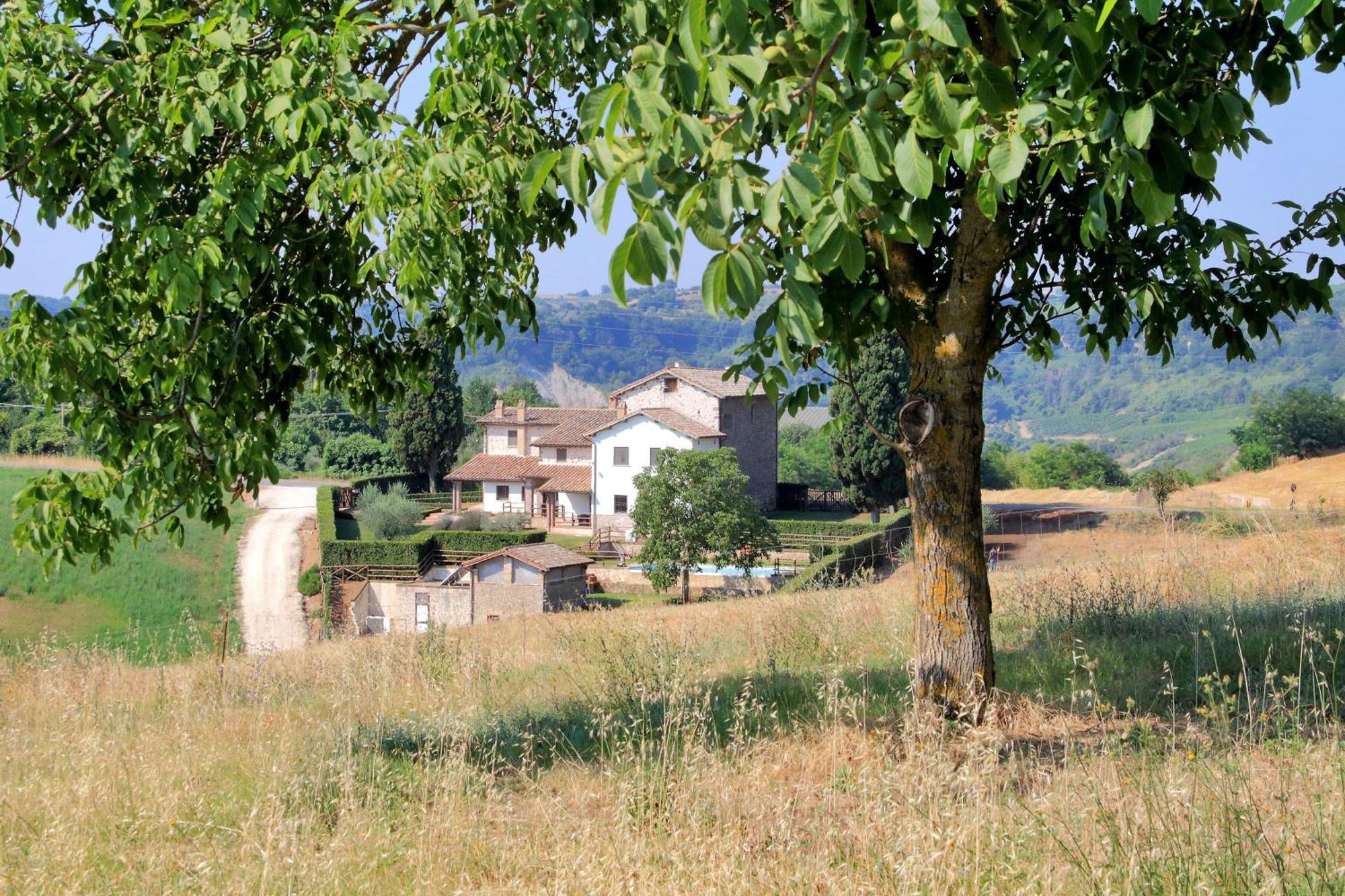 Orvieto Country House Castiglione In Teverina Exterior foto