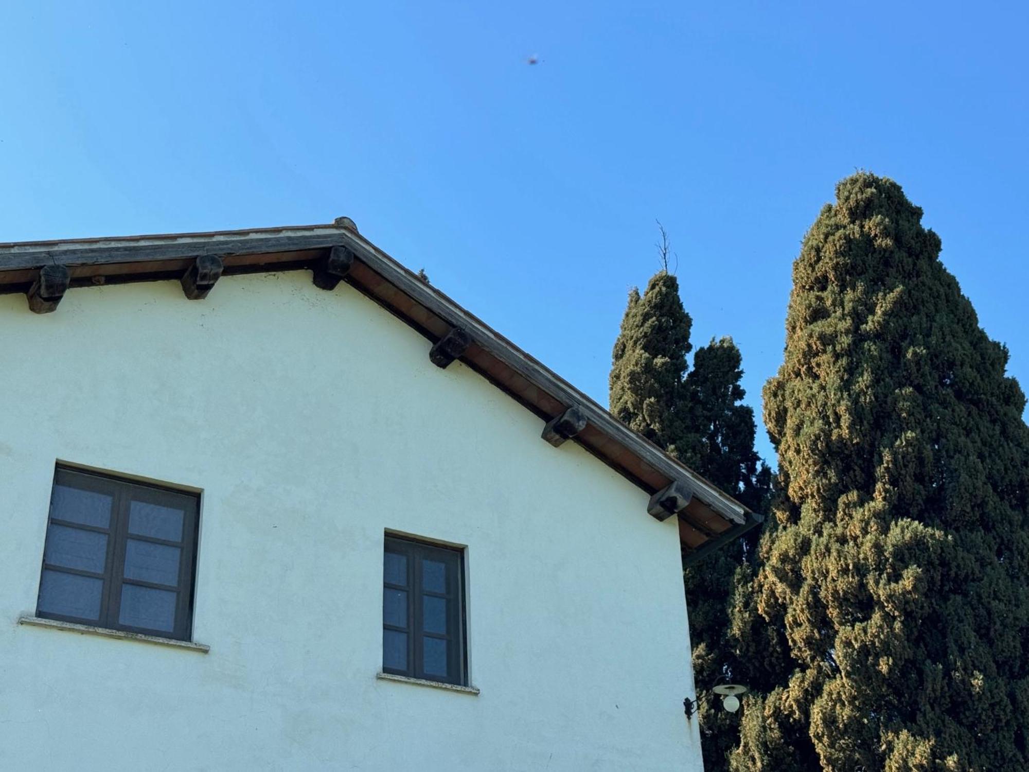 Orvieto Country House Castiglione In Teverina Exterior foto