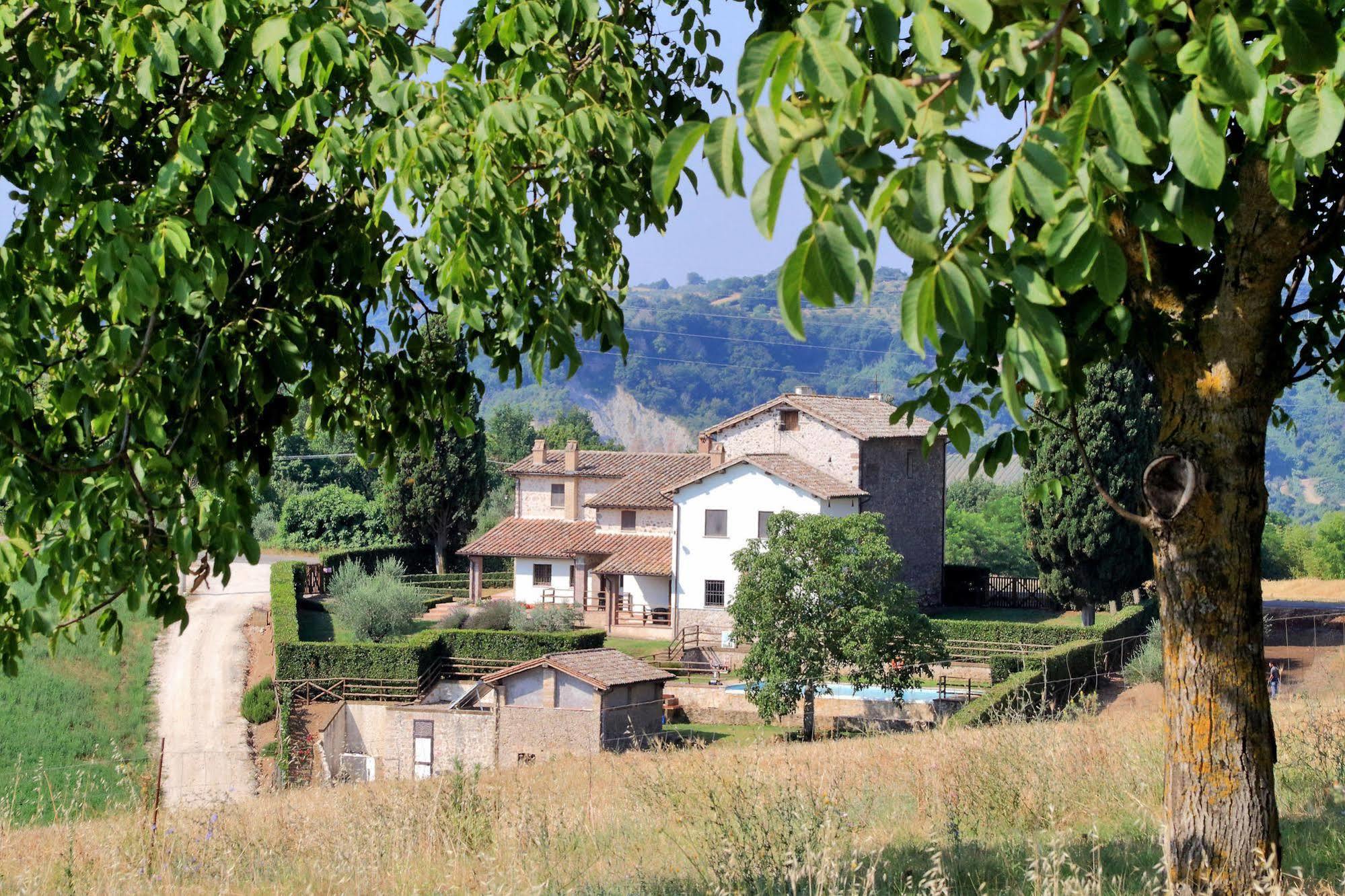 Orvieto Country House Castiglione In Teverina Exterior foto