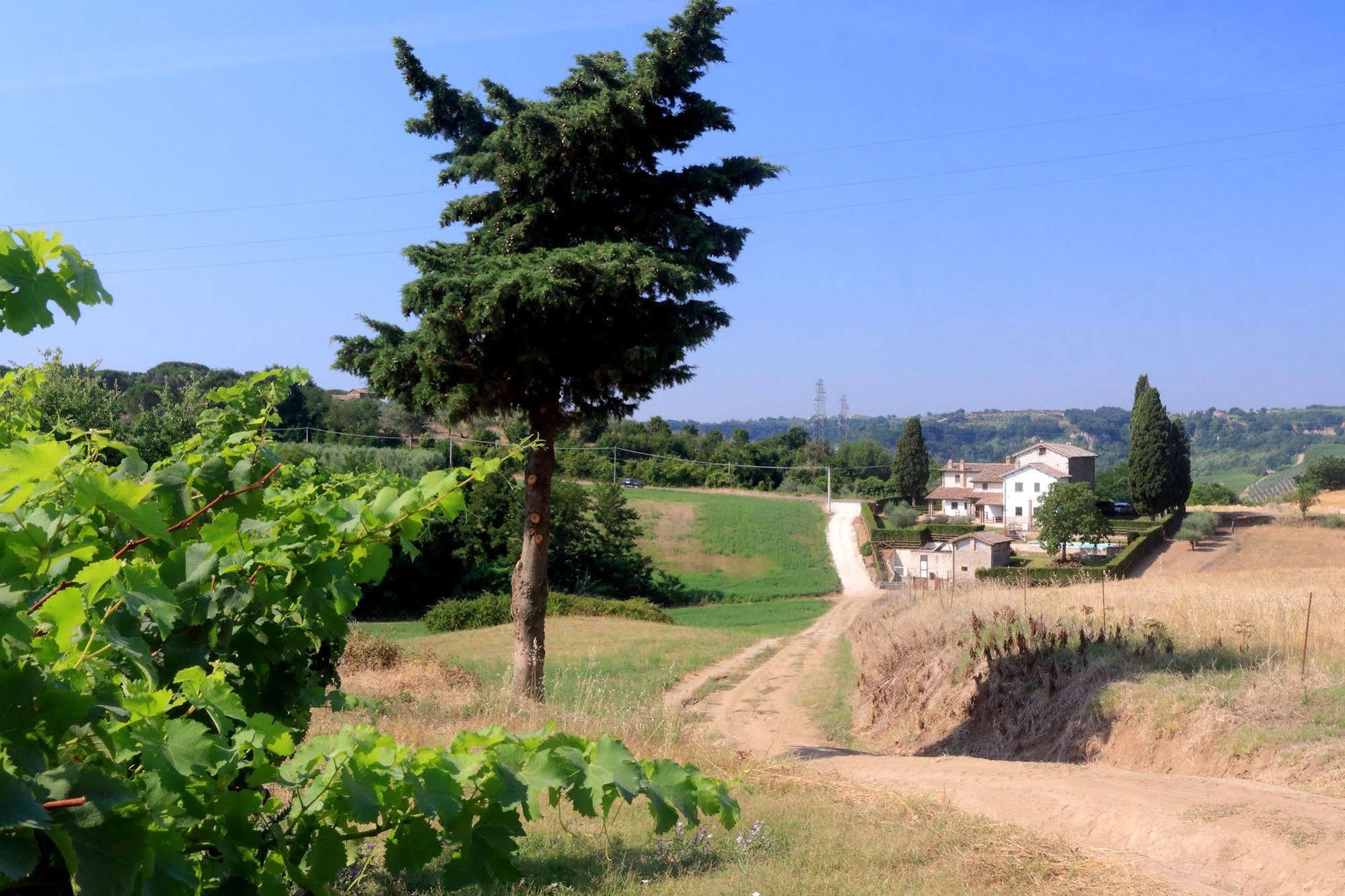 Orvieto Country House Castiglione In Teverina Exterior foto